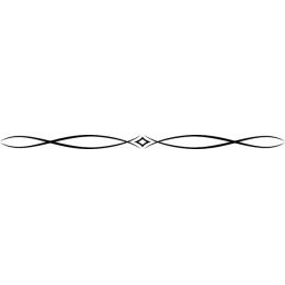 Elegant Decorative Border