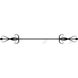 Elegant Decorative Ornament