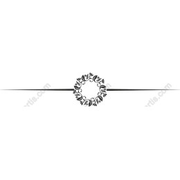 Elegant Floral Frame