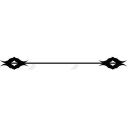 Elegant Decorative Border