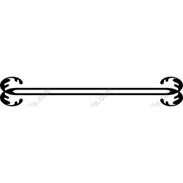 Elegant Vintage Ornamental Border