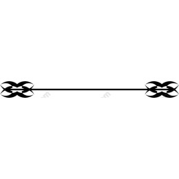 Elegant Ornamental Border