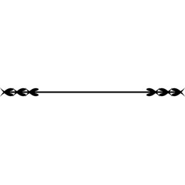 Elegant Decorative Border