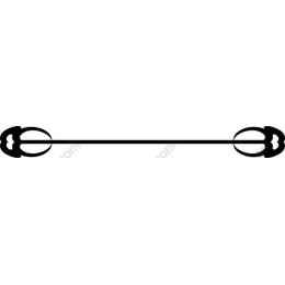 Elegant Ornamental Border