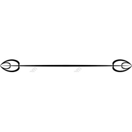 Elegant Ornate Line