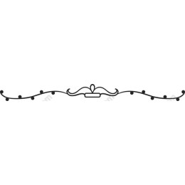 Elegant Decorative Border