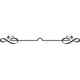 Elegant Decorative Flourish