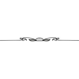 Elegant Decorative Border