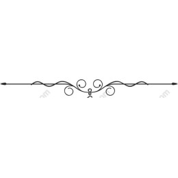 Ornate Elegant Border