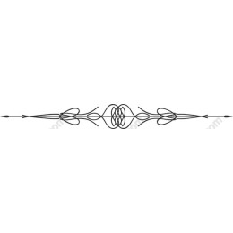 Elegant Decorative Border