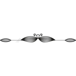 Elegant Decorative Border