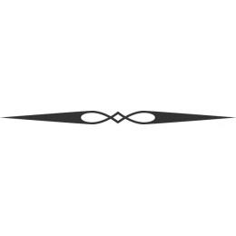 Elegant Infinity Decorative Divider
