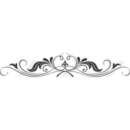 Elegant Ornate Decorative Border