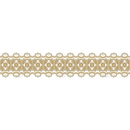 Elegant Gold Ornate Border