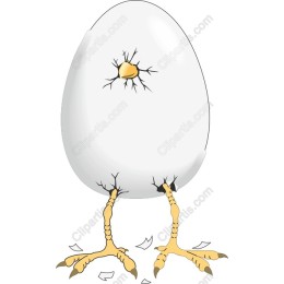 Hatching Egg