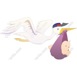 Whimsical Stork Baby Delivery
