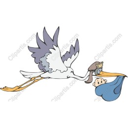 Stork Delivery Baby