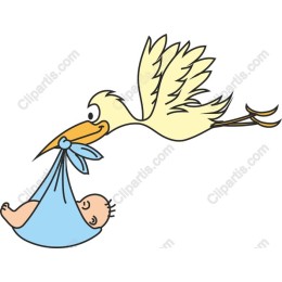 Joyous Stork Baby Delivery