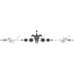 Elegant Decorative Flourish