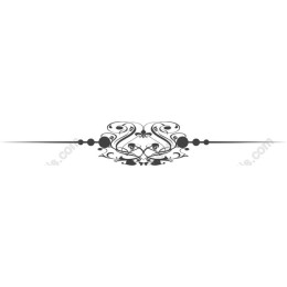 Elegant Decorative Flourish