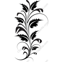 Black Floral Elegance