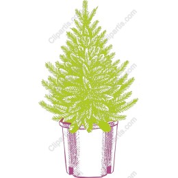 Vibrant Green Potted Tree