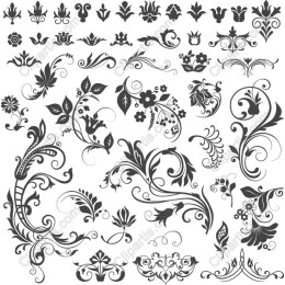 Elegant Floral Collection