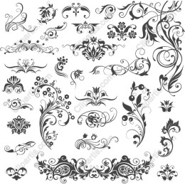 Elegant Floral Collection