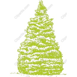 Vibrant Hand-Drawn Conifer Tree