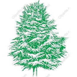 Lush Green Tree