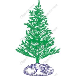 Lush Evergreen Tree
