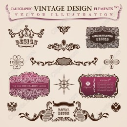 Calligraphic Vintage Elements XVII