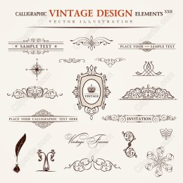 Calligraphic Vintage Elements XXII - Elegant Collection