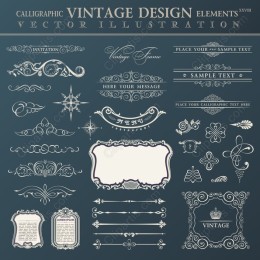 Calligraphic Vintage Elements XXVIII - Elegant