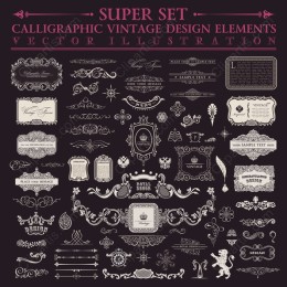 Calligraphic Vintage Elements Super Set