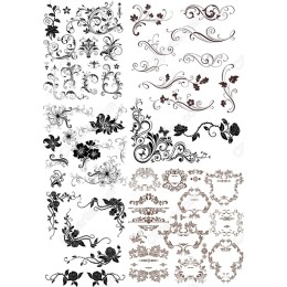 Floral and Ornamental Bundle