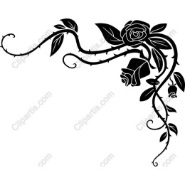 Elegant Rose Vine