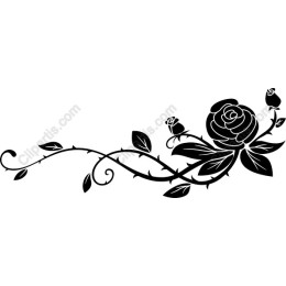 Elegant Black Rose