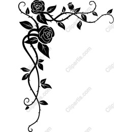 Black Rose Vine