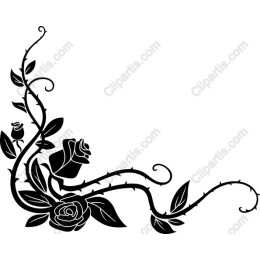 Black Rose Vine