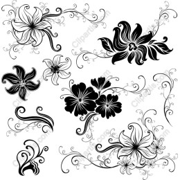 Elegant Floral Set