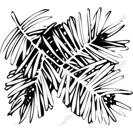 Elegant Black and White Palm Leaves