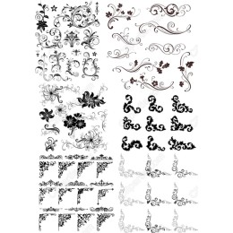 Elegant Floral Bundle