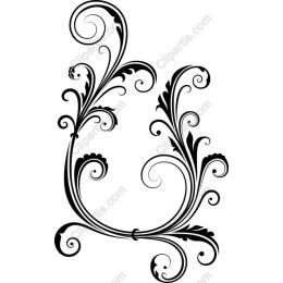 Elegant Floral Scrollwork
