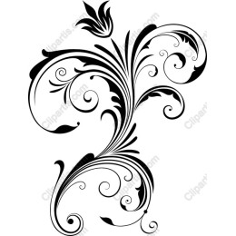 Elegant Black Floral Flourish