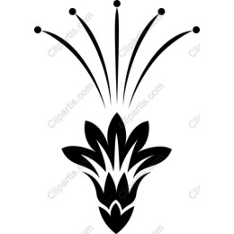 Elegant Floral