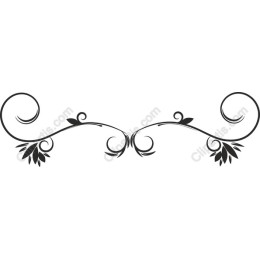 Elegant Floral Border