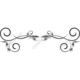 Elegant Ornamental Flourish