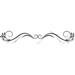 Elegant Floral Ornament