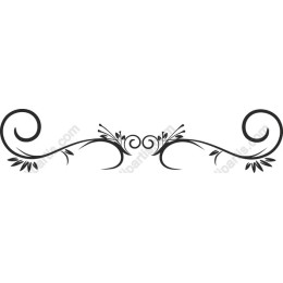 Elegant Floral Border